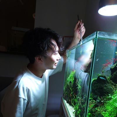 社会人 20代
nature aquarium
60cm high tank

（小2〜中3：金魚熱帯魚 生体メイン／2021〜：30cube水草レイアウト水槽／2022〜：60cmハイタイプ立ち上げ）