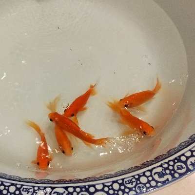 andy_sl01's profile picture. 