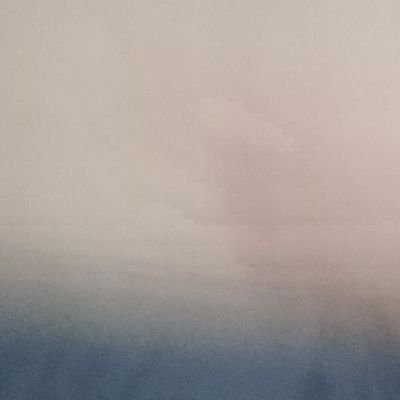 D.magnai Profile