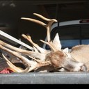 Jonathon Wyatt - @jpwyatt17 - Twitter