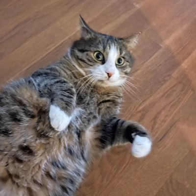 M_Pete0815's profile picture. 