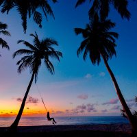 Travel the world (@traveleworld2) 's Twitter Profile