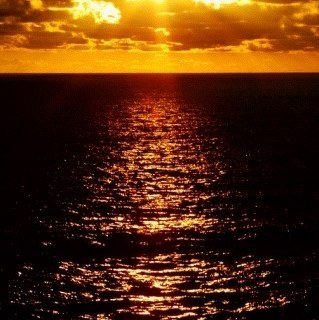 TnDreamcatcher's profile picture. 