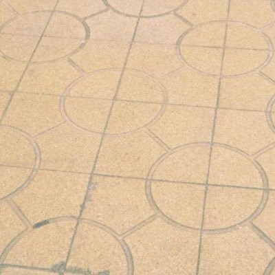 ska_dfgt675's profile picture. 