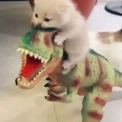 meiiyukk's profile picture. pendengar yang baik klau belum ngntuk