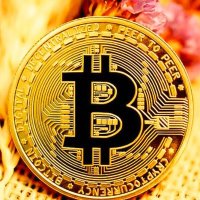 HV.BTC (@hv_btc) 's Twitter Profile