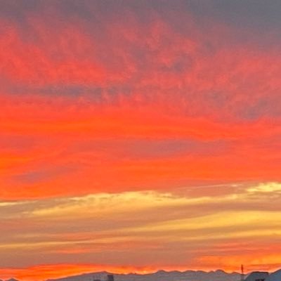 GardenPerth's profile picture. さのめいみ。/柚凪。/カフネ/さとう。/sanoha/山口華穂/ひおり/みずほ/ XinU/竹内アンナ/mibuki/tami/NELKE/冴夜/一華ひかり/Uru/Superfly/いきものがかり/小田和正/TOMOO/Aooo/ヨルシカ/麗奈/703号室/鈴木祥子/素敵なアーティストの音楽を楽しんでいます