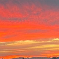 パス (@gardenperth) 's Twitter Profile Photo