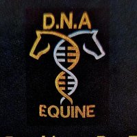 D.N.A Equine(@donna_cowens) 's Twitter Profile Photo