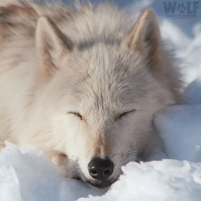 asobh1's profile picture. Cosmic.eth