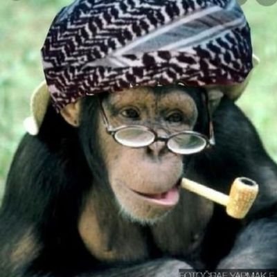 AvsinAgit's profile picture. Her sabah yüzünüzü Şiirle yıkayın,yüreğiniz temiz olsun.