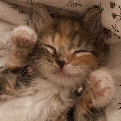 🏳️🌈 i watch minecraft ppl • /p soulmate → @ranboosstars