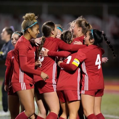 Lady Bees Soccer Twitter Account #RAFN #itsgoodya #fliptheswitch #goose