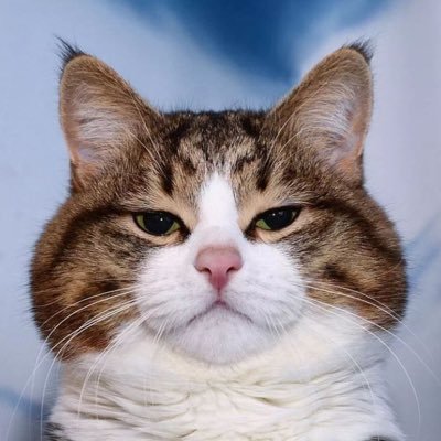 wmixenak's profile picture. .x