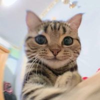 PonPon🧡World News💚 (@sekainowad) 's Twitter Profile Photo