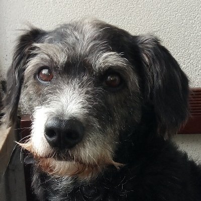 MarieBartonFink's profile picture. "Do not make your mind a dumping ground for other people's garbage." - Ezra Taft Benson