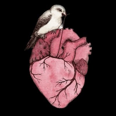 تمنيت الخير و جيتني أنتً من الله♥️