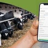 The smart food Project aimed to raise awareness on the proper farming ways without the use of Drugs in each Agri-food value chain Using Whatsapp Chatbot