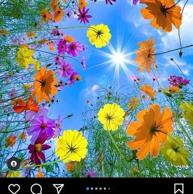 RomeuBereza's profile picture. 😉