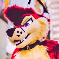Book (@bookerfoxeh) 's Twitter Profile