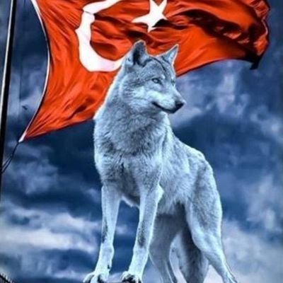 Bayrakları bayrak yapan üstündeki kandır
TOPRAK
Uğrunda ölen varsa vatandır