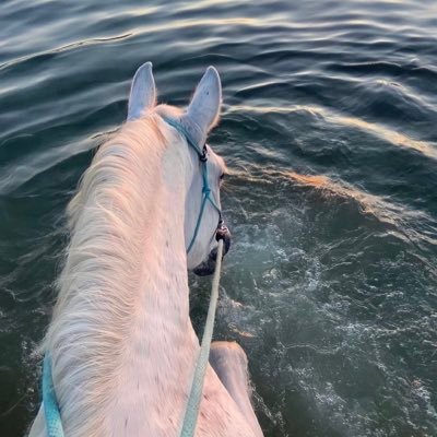 o3_0x's profile picture. استغفرلله وإتوب إليه