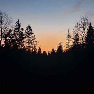 DavidMinier3's profile picture. mécanicien diesel