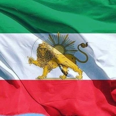 طرفدار حکومتی هستم که رییس جمهور و نخست وزیر داشته باشد مثل کشورهای اروپایی که سکولار اداره می شوند طوری که شاهزاده وعده میدهد.(پادشاهی_پارلمانی)رضا پهلوی