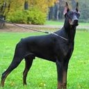 Mickey S Robinson - @MickeyRobinson1 - Twitter