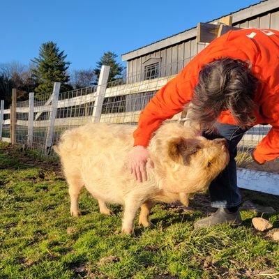 Arthur's Acres Animal Sanctuary board member