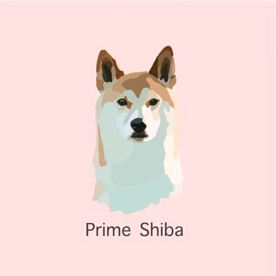 primeshibashop's profile picture. PREORDER NOW!🐕 IG: primeshibashop