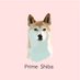 Prime Shiba (@primeshibashop) Twitter profile photo Prime Shiba (@primeshibashop) Twitter profile photo