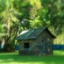 revistaliteraria (@revistaliterar) Twitter profile photo