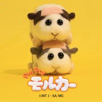 ぷいぷい　フェス富 (@hk7xe) Twitter profile photo