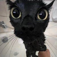 Jeanius (@jeanh00700057) 's Twitter Profile
