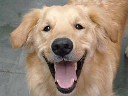 Ajudaaocao's profile picture. 