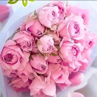 انتصار🌸 (@intisarfan) 's Twitter Profile Photo انتصار🌸 (@intisarfan) 's Twitter Profile Photo