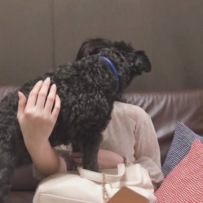 38_0119's profile picture. ナレーションや歌ってみた録ったり、色々作るのが好きみたいです 元キャラクターショーMC 動物や芸術作品も好きです。