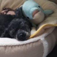 GaryPalmerJr.eth.limo 👁 2223.eth 🌱🐇 (@juan__cortes2) 's Twitter Profile