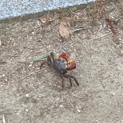 1nUnJASbW9mPP25's profile picture. 広島市民