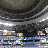 Jickey (@jikeyta) 's Twitter Profile