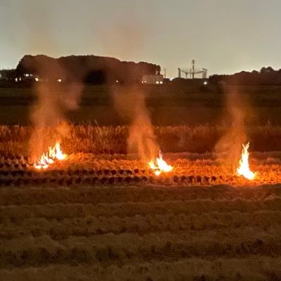 しがない公務員◀︎明治大院(農・生命)◀︎宇高136期