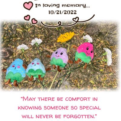 NSiekert's profile picture. Grateful, fun loving & proud full throttle Single Momma to my beautiful blessings born on the 4th of July 2010, Insurance Agent w/Allstate and JANETS#1 FAN!🤩❤️