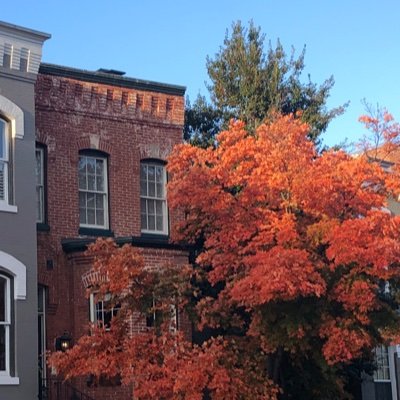 katiedscheuer's profile picture. ✌️