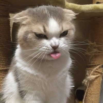 unhealedtraumas's profile picture. 30032024