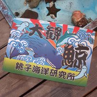 世界一ちっちゃな水族館│銚子イルカクジラウォッチング (@choshiiruka) Twitter profile photo