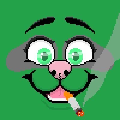 lightskinracc's profile picture. YOU CAN'T PACC THE RACC | he/him