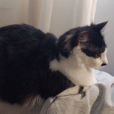 andrea240465's profile picture. 