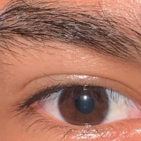 patorivasl (@patorivasl) 's Twitter Profile