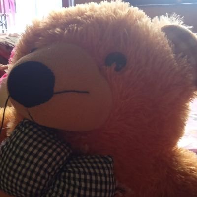 LaldeoSharmaa's profile picture. Fun loving guy,always ready for any type of circumstances